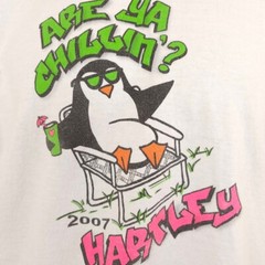 Vintage Cool Penguin T Shirt Mens Size Medium White Y2K Are Ya Chillin Hartley