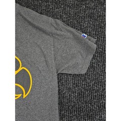 Champion Mens Iowa Hawkeyes Graphic T-Shirt Heather Charcoal Small NCAA Tee