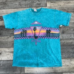 Vintage Oneita Florida T-Shirt Single Stitch 90s Retro USA Cotton Mens Large