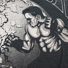 MMA Duel For Domination Phoenix AZ Worldwide Sports Inc Graphic T Shirt Men S
