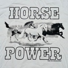 Chinatown Market x Round Two Floral & Horse Power T-shirt Lot – Size Large