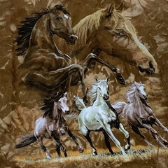 Back To Earth Tie Dye Horses Tee Men’s 2XL
