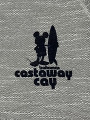 (2X) DISNEY Bahama Castaway Cay LONG SLEEVE Shirt Hooded DISNEY CRUISE Tee NWOT