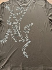 Arc’teryx Cormac Arc’Bird Logo T-Shirt In Tatsu Heather/stone Green- Xs