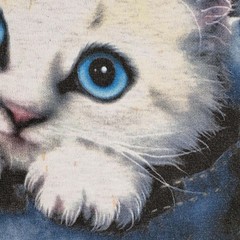Vintage The Mountain Shirt Men’s Size XL Blue Tie Dye Tee Cottton Cat Graphic
