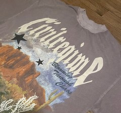 Civil Regime Blooming Through Chaos Desert Graphic Boxy T-Shirt