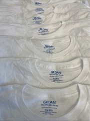 Fruit Of The Loom & Gildan T-shirt Lot Of 17 – NEVER WORN – Blank – Sizes Vary