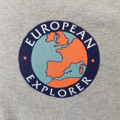 European Explorer T Shirt Mens Size Large Gray Princess Travel Destination Tee