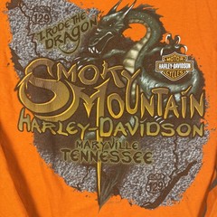 Harley Davidson I RODE THE DRAGON L Smoky Mtn Long Sleeve Y2K Orange Rare US129