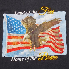 Land of the Free Home of the Brave Mens Large T Shirt Black Short Sleeve