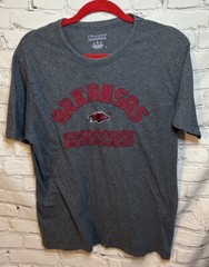 Champion Gray Arkansas Razorbacks Solid Graphic T-Shirt Adult Size L
