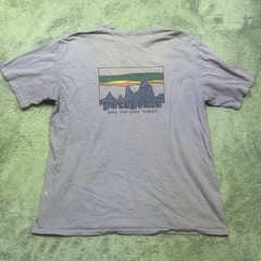 Patagonia ’73 Skyline T-Shirt Men’s XL Light Purple Organic Outdoor Short Sleeve