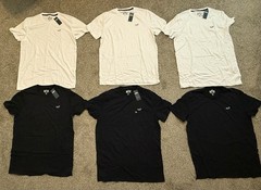 Hollister MUST HAVE Collection Crewneck T Shirts Pack of 6 Mens MEDIUM