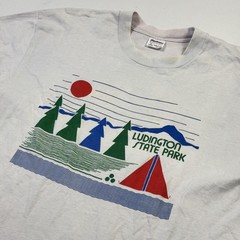 Vintage Stedman Shirt Mens XL Gray Ludington State Park Camping Graphic Tee USA