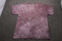 The Mountain VTG Y2K T-Shirt Horses Native American Men’s Large Nature Art