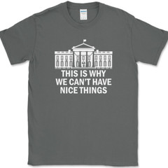 Why We Can’t Have Nice Things T-Shirt Funny Anti Government Political Tee
