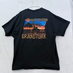 Harley Davidson T Shirt Men 2XL Black Grand Turk Girl Biker Motorcycle Wolf Bare