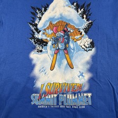 Vintage Disney Blizzard Beach Summit Plummet T Shirt Mens M Blue Graphic USA