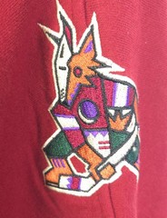 47 Brand NHL Arizona Coyotes Lace Up Hoodie Size 3XL NWT – Hockey Fan Gear