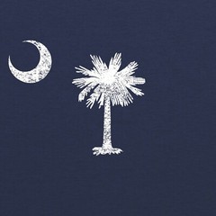 South Carolina Flag State Pride Premium Triblend Mens T-Shirt – Vintage Navy
