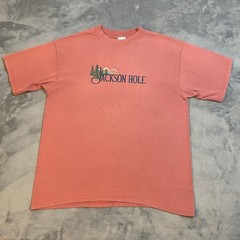 Vintage 90s Jackson Hole T-Shirt Mens Large Pine Trees Mountains Art Streetwear