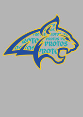Protos Bobcat Profile Graphic Tee Gray Teal House System Shirt Youth RCA