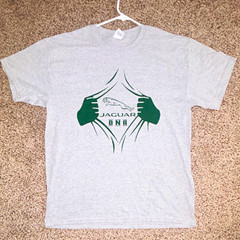 Gildan Heavy Cotton Men’s L Gray Jaguar DNA Graphic Logo Tee