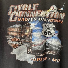 Y2K Harley-Davidson Flaming Wolf Tee | Joplin Missouri | Size L