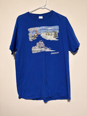 Oklahoma Shirt Mens Large Blue Delta Pro Weight Winter Scene Graphic Tee Cotton