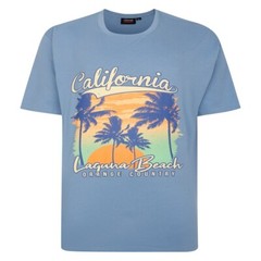 ESPIONAGE BLUE LAGUNA BEACH T SHIRT T425 2XL3XL 4XL5XL6XL7XL8XL