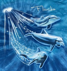 Hand Dyed Dolphins Florida Destination Nature T-Shirt XL NEW [NWT]
