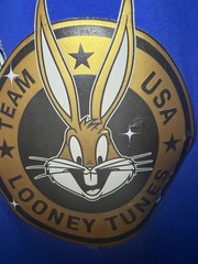 Team USA x Looney Tunes Freeze Max Soccer Loose Fit T-Shirt – Royal Blue Size XL