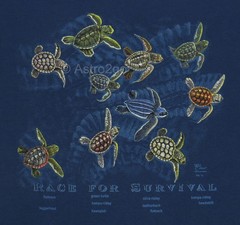 RACE FOR SURVIVAL-Sea Turtles Marine Ocean Aquatic Science Nature T shirt S, 3XL