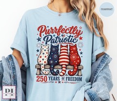 Patriotic Cat Vintage Retro Shirt USA 250th Anniversary Kitten Cat Lover Gift