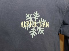 2019 Alpha Gam Winter Formal Towson MD Adult Medium Gray Long Sleeve TShirt