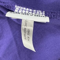 Vintage Polo Ralph Lauren Purple T Shirt Mens M Green Pony Logo Cotton Preppy