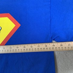 Buc-ee’s Shirt Mens Medium Blue Superman Beaver Logo Saving World Ordinary Tee