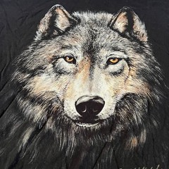 Black Wolf Graphic Short Sleeve T Shirt Grunge Skater Punk Y2K Sz 2X