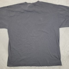 Hybrid Tees Shirt Mens Large Gray Bird Graphic Nature Wildlife Blue Black Tee