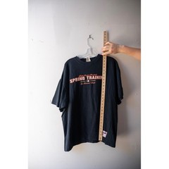 Majestic MLB San Francisco Giants Spring Training Cactus League T-Shirt Black XL