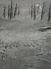Vintage Habitat Wilderness Misprint T shirt L All Over Print Landscape Sketch