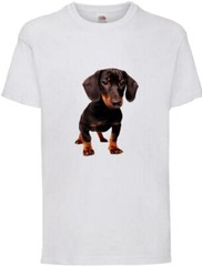 Dachshund Dog Pet Friend Family Novelty T Shirt Various Colours And Sizes