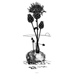 Visual Metaphors For Philosophy, Unisex organic oversized high neck t-shirt