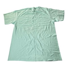 Vintage 90s Hanes Heavyweight 50/50 Blank T Shirt Mint Green USA Made Men’s L