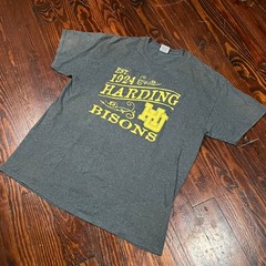 MV Sport XL Preppy Graphic T Shirt Gray Collegiate Classic Fit