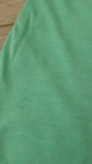 Men’s Canvas Light Weight Slim Tri-Blend T-Shirt Medium – Blue or Mint Green
