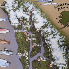 Southeast Alaska Shirt Mens XL Tan Graphic Map Fish Cities Bald Eagle Tee Cotton