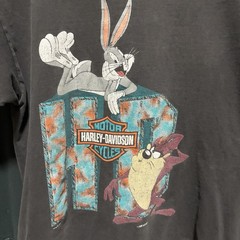 Vintage 90s Harley Davidson Sun Faded Single Stitch T Shirt Looney Tunes Taz XL