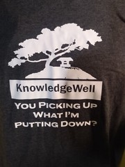 KnowledgeWell YOU PICKING UP WHAT I’M PUTTING DOWN? T SHIRT GILDEN XL