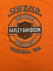 New Harley-Davidson T-Shirt Orange With Inscribed Skull